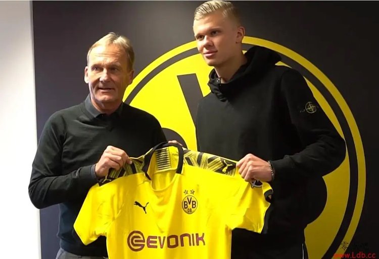 收假，山东泰山队今日重新集中，在基地进行恢复性训练